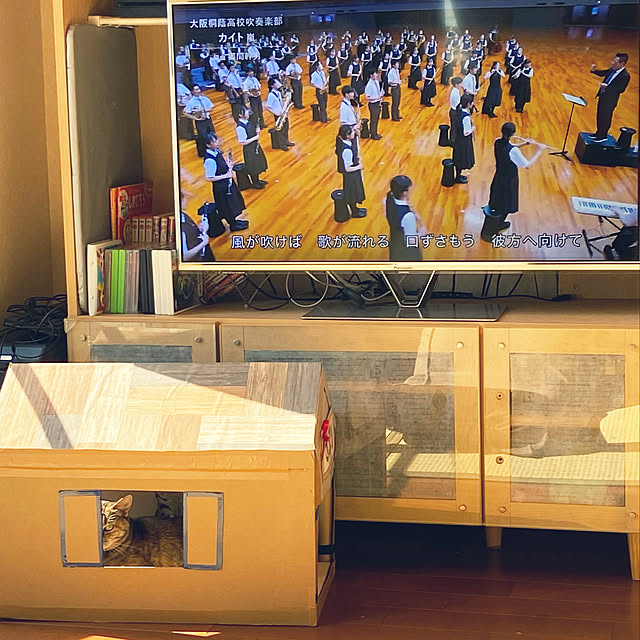 hansho.sさんの実例写真