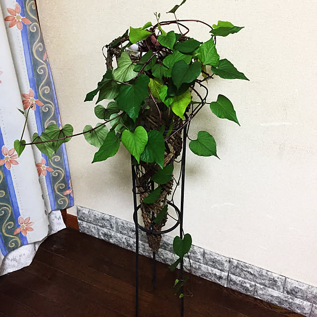 araimama-01170520さんの実例写真