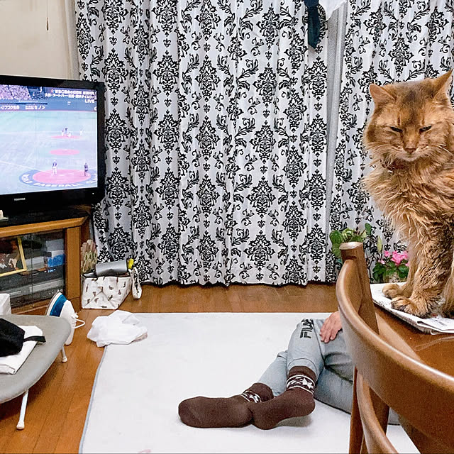 yukarinさんの実例写真