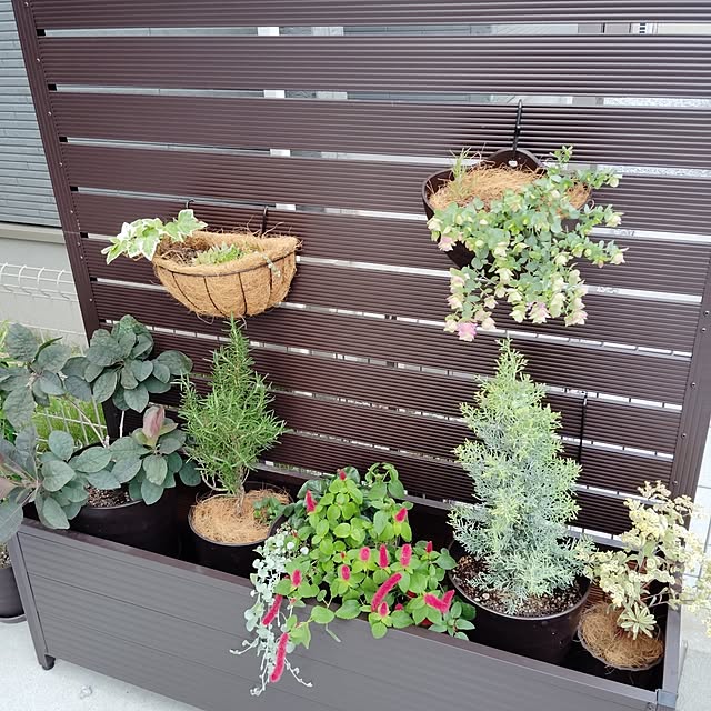 kmerciさんの部屋