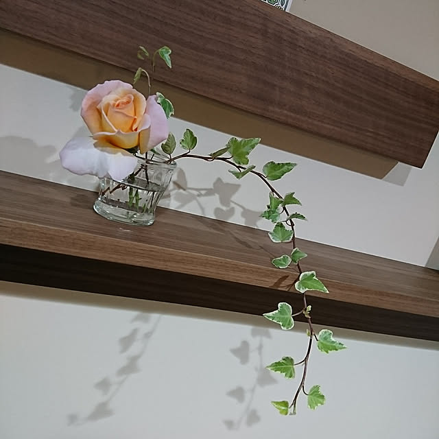 odecomaikoさんの実例写真
