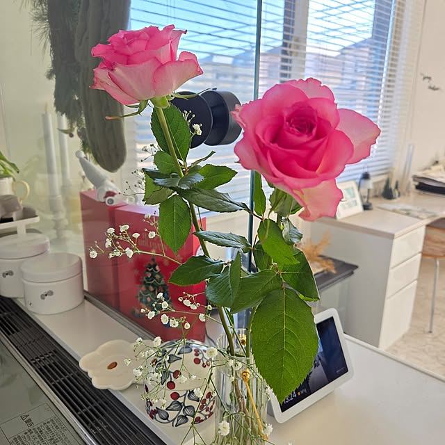 mutyukingさんの実例写真