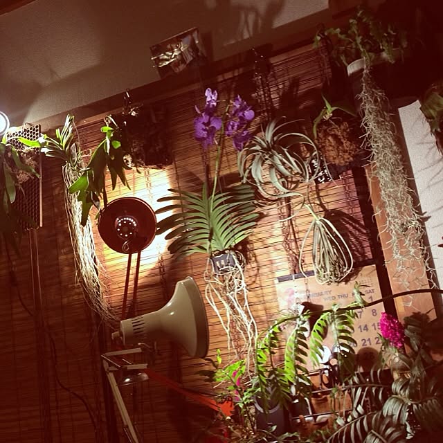 zutanさんの実例写真