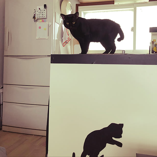 midoさんの実例写真