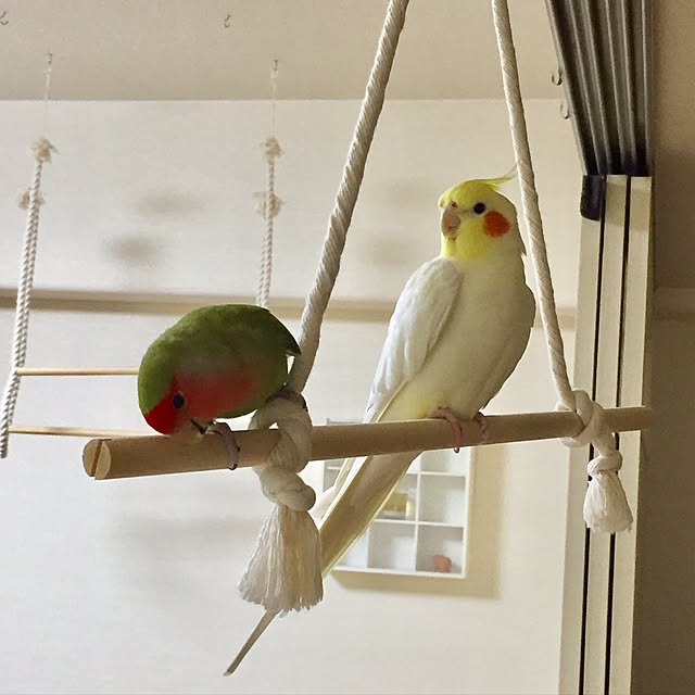toratanさんの実例写真