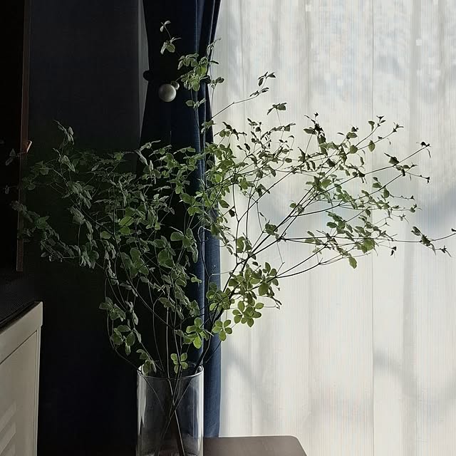 noaさんの部屋