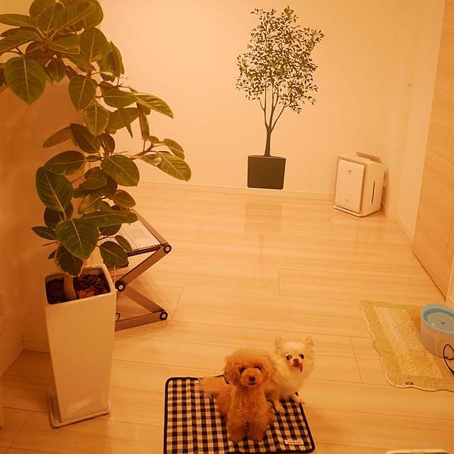 piyomi05さんの実例写真