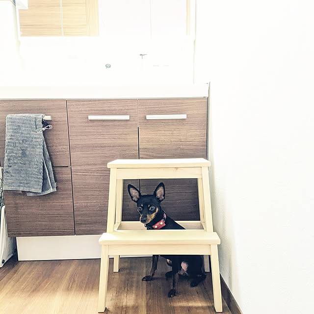 shizuponさんの実例写真