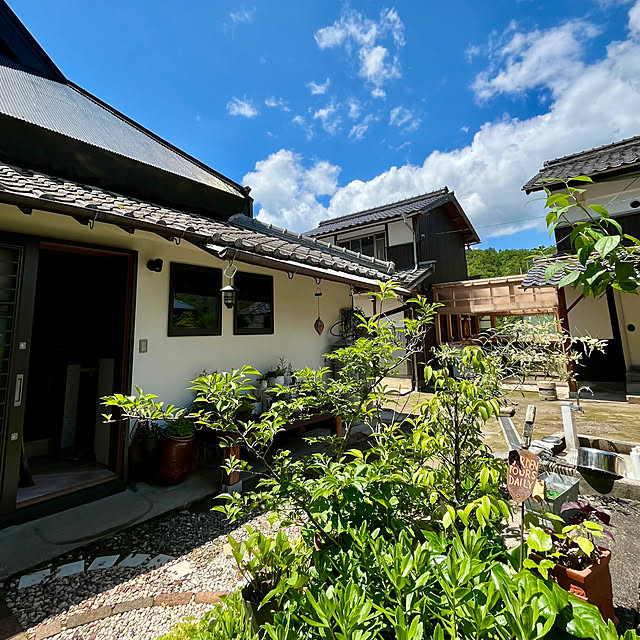 cota2さんの部屋