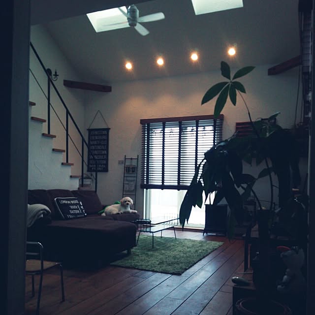 misaさんの実例写真