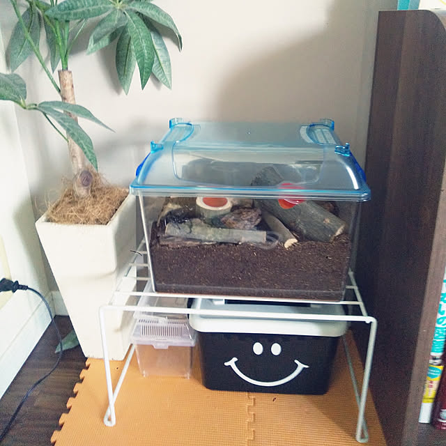 aiko.さんの実例写真