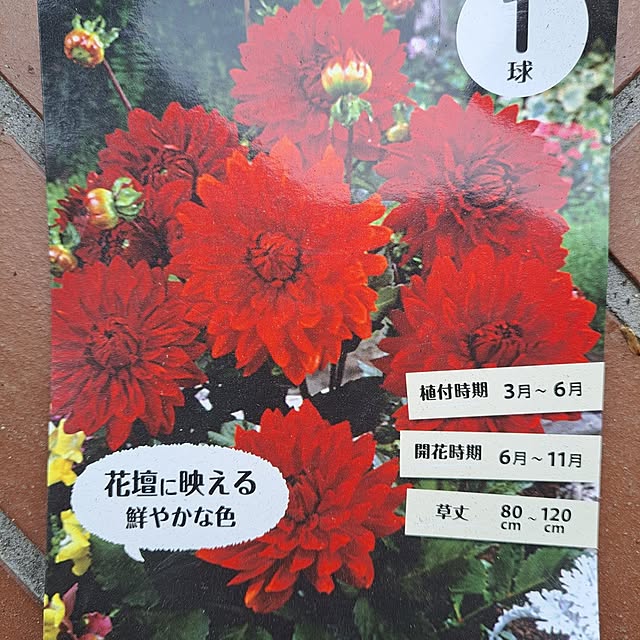 ichi-5さんの部屋
