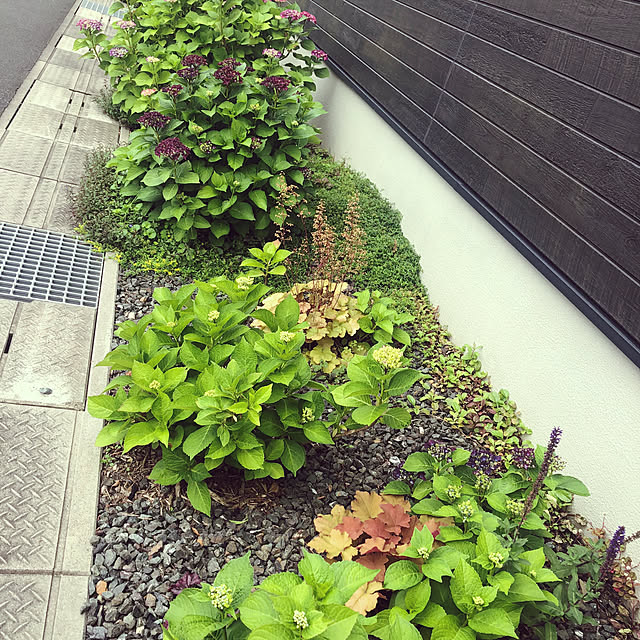 hanaさんの部屋