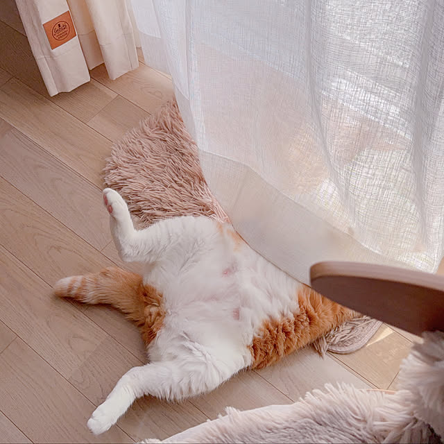 m__homeさんの部屋