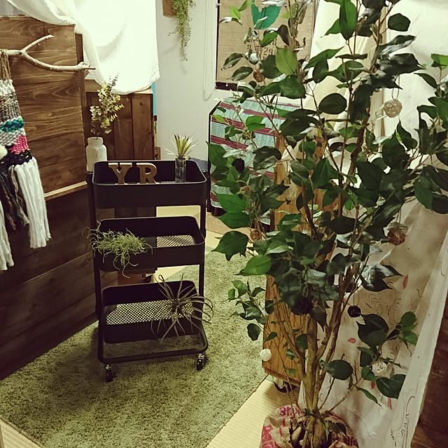 yumereiさんの実例写真