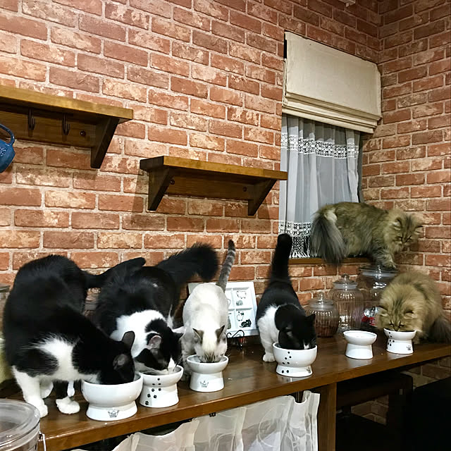 butachanさんの実例写真