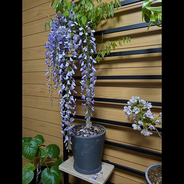 aromameさんの部屋