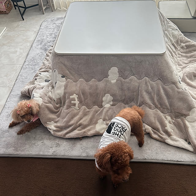 monokoさんの実例写真