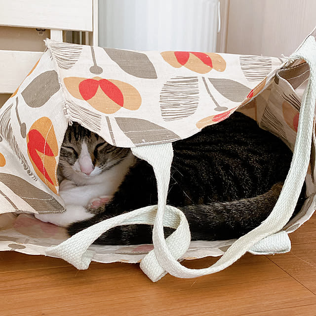 kurinさんの部屋