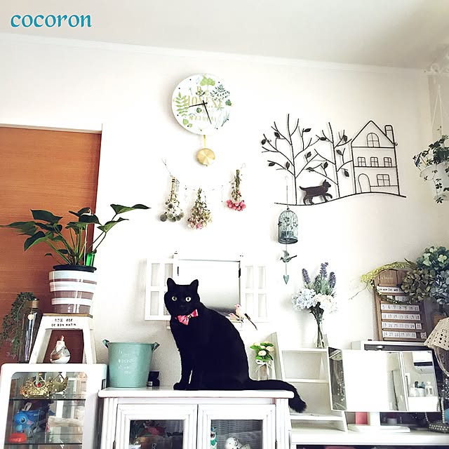 cocoronさんの実例写真