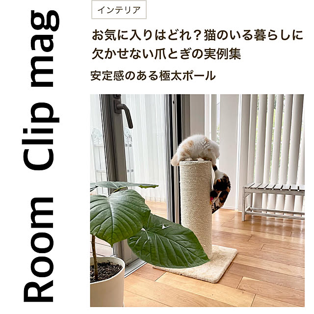 Kaneyukiさんの実例写真
