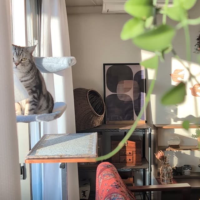 lovepeaceさんの実例写真