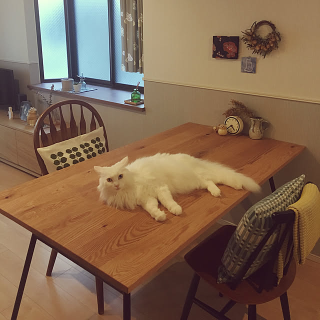 komaさんの実例写真