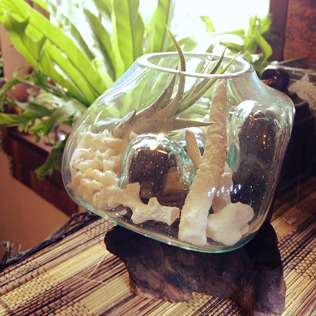 amさんの実例写真