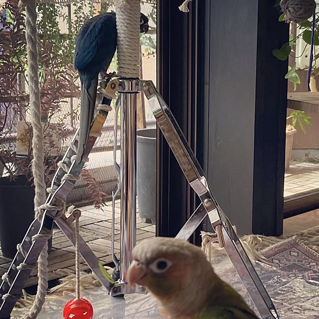 s.p.sunaoさんの部屋