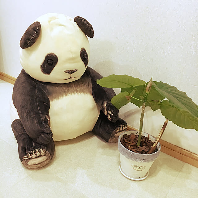 cocoさんの実例写真