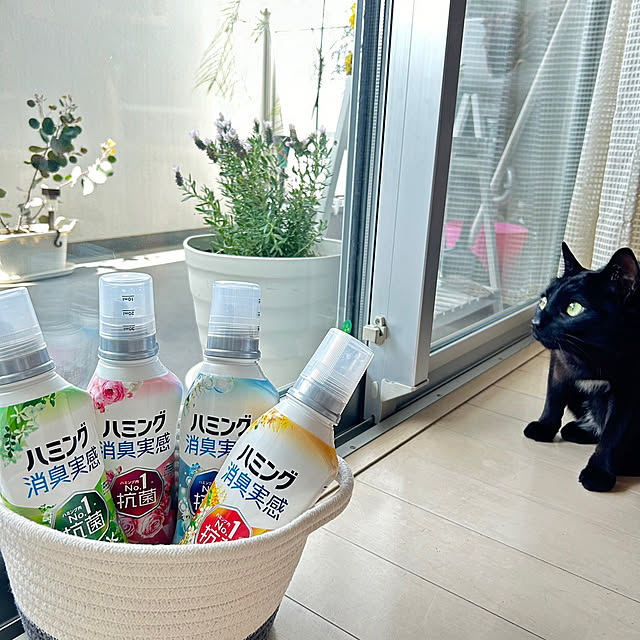 nekomiさんの部屋
