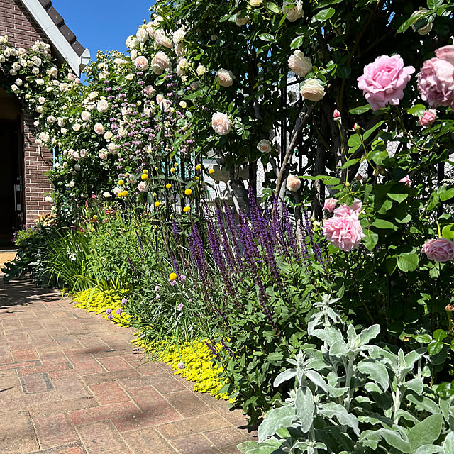 Royal_Gardeners_Clubさんの部屋