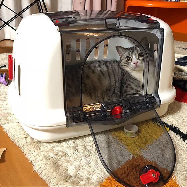 Shojiさんの実例写真