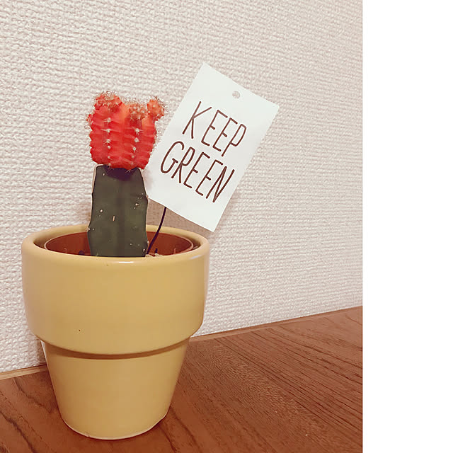 kinako0248さんの実例写真