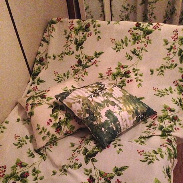 heikemonogataruさんの実例写真