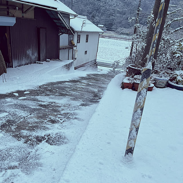 cotaさんの部屋
