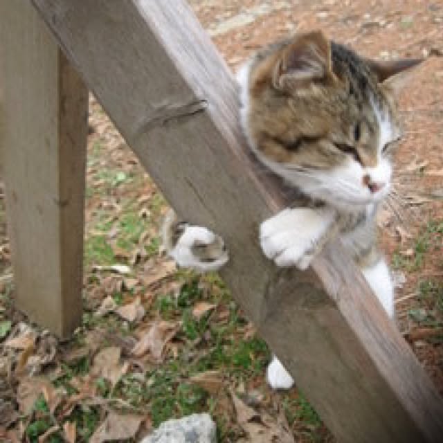mobiri57さんの実例写真