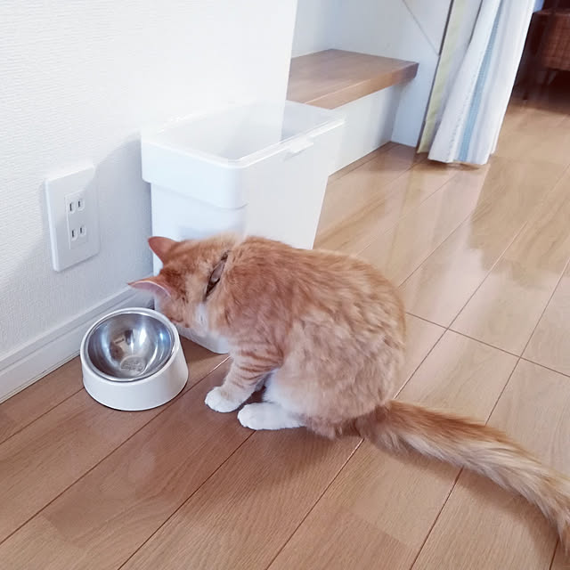 pinokoさんの実例写真