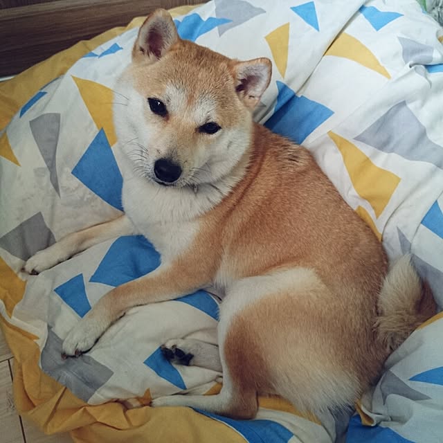 mwさんの実例写真