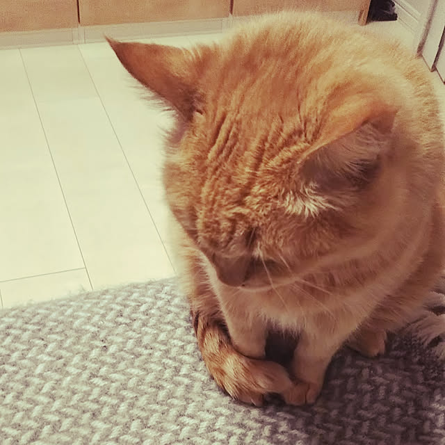 hanacocoさんの実例写真