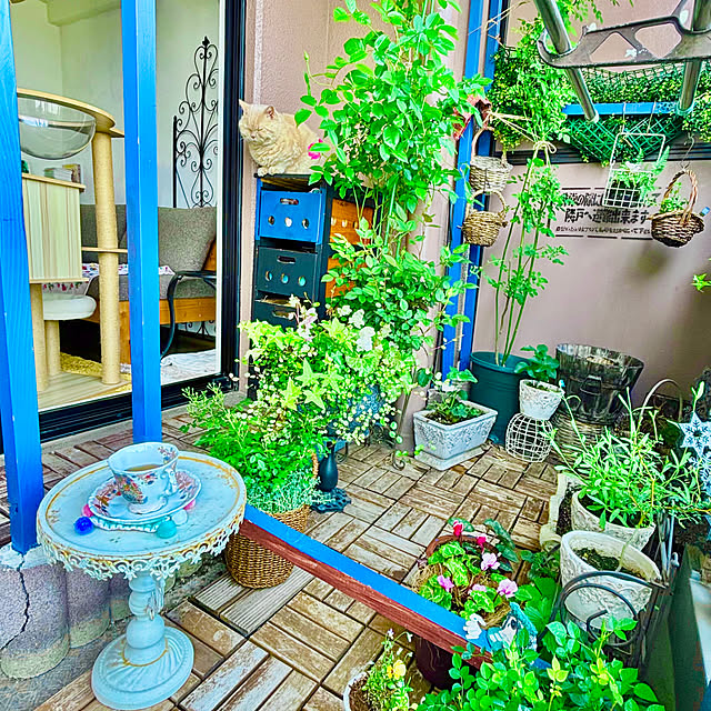 naokoさんの実例写真