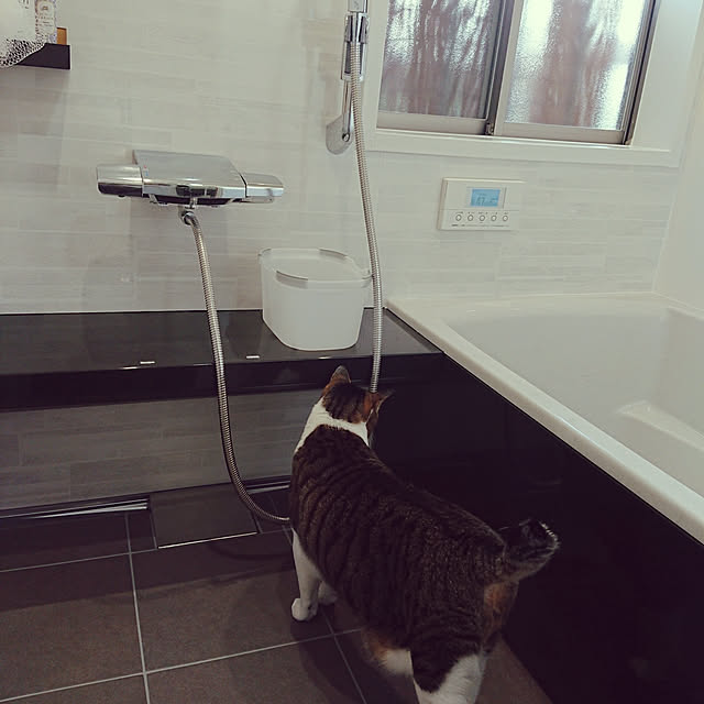 nachiさんの実例写真