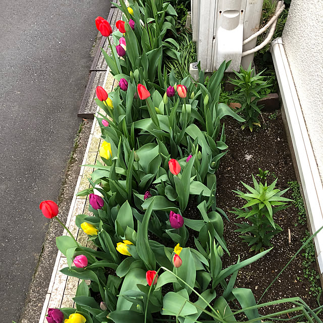shakuyakuさんの部屋