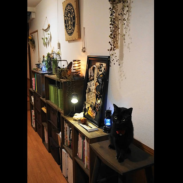 aromameさんの実例写真