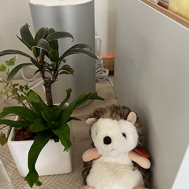 rieさんの部屋