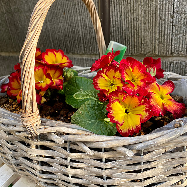 YuuKoさんの部屋