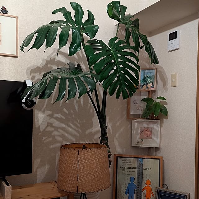 Gunさんの部屋