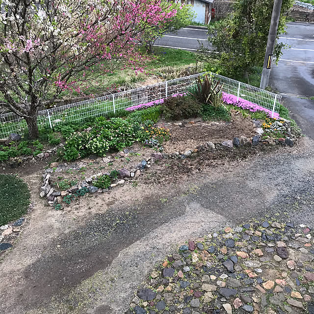 pepeさんの実例写真