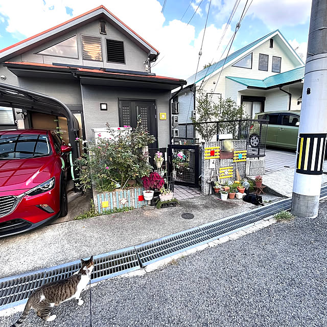 jijiさんの実例写真