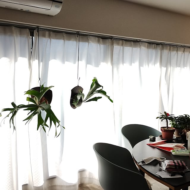 loop1517さんの実例写真